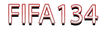 FIFA134 Logo